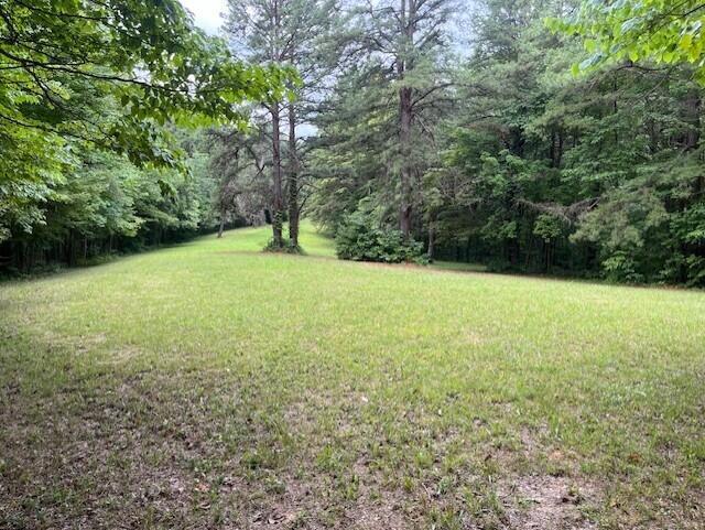 23875 Mathias Road South Bloomingville, OH 43152 - Photo 13 of 89 thumbnail_IMG_8256