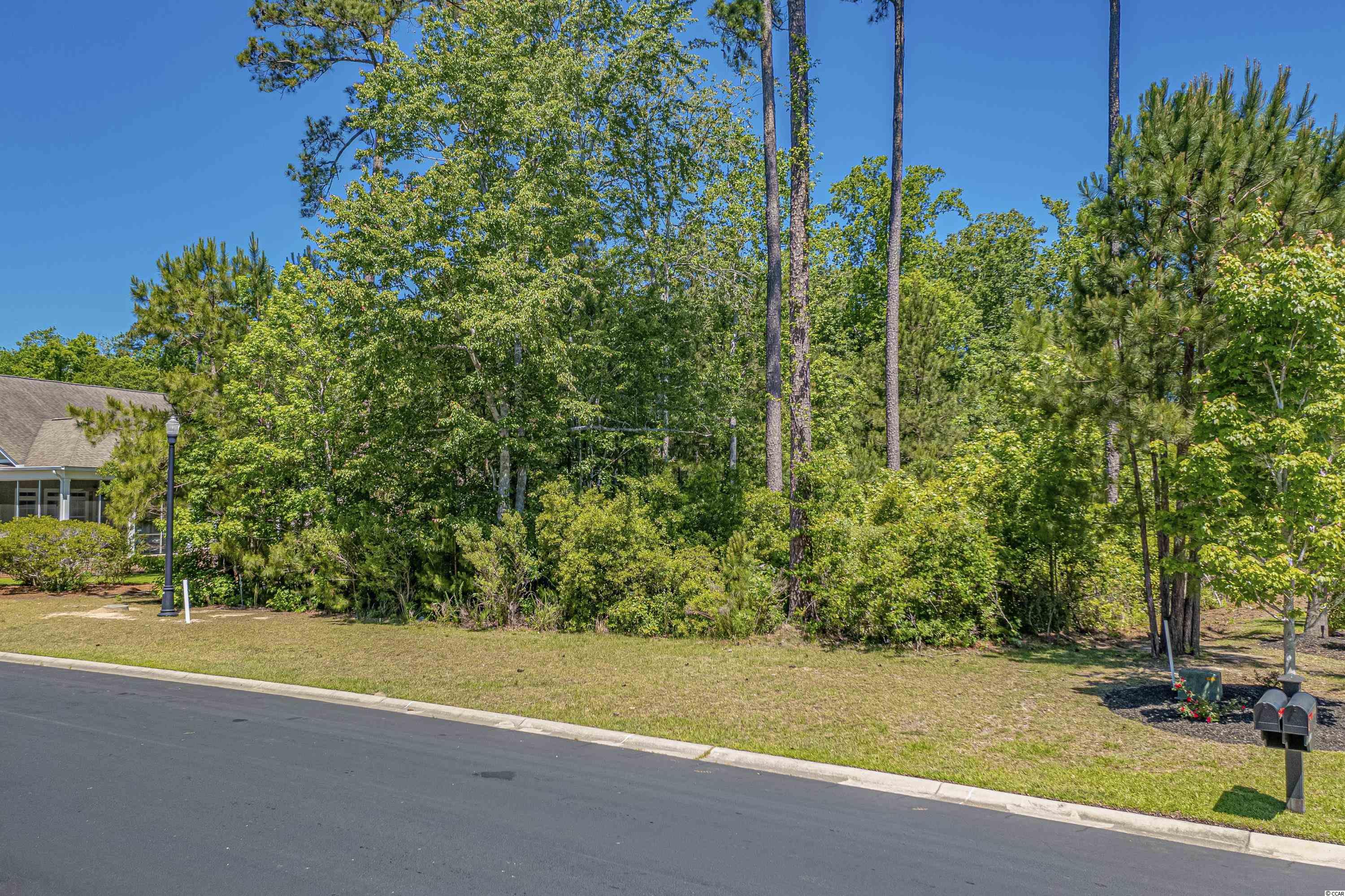 104 Grey Moss Road Murrells Inlet, SC 29576 - Photo 3 of 24 Gallery Image 3