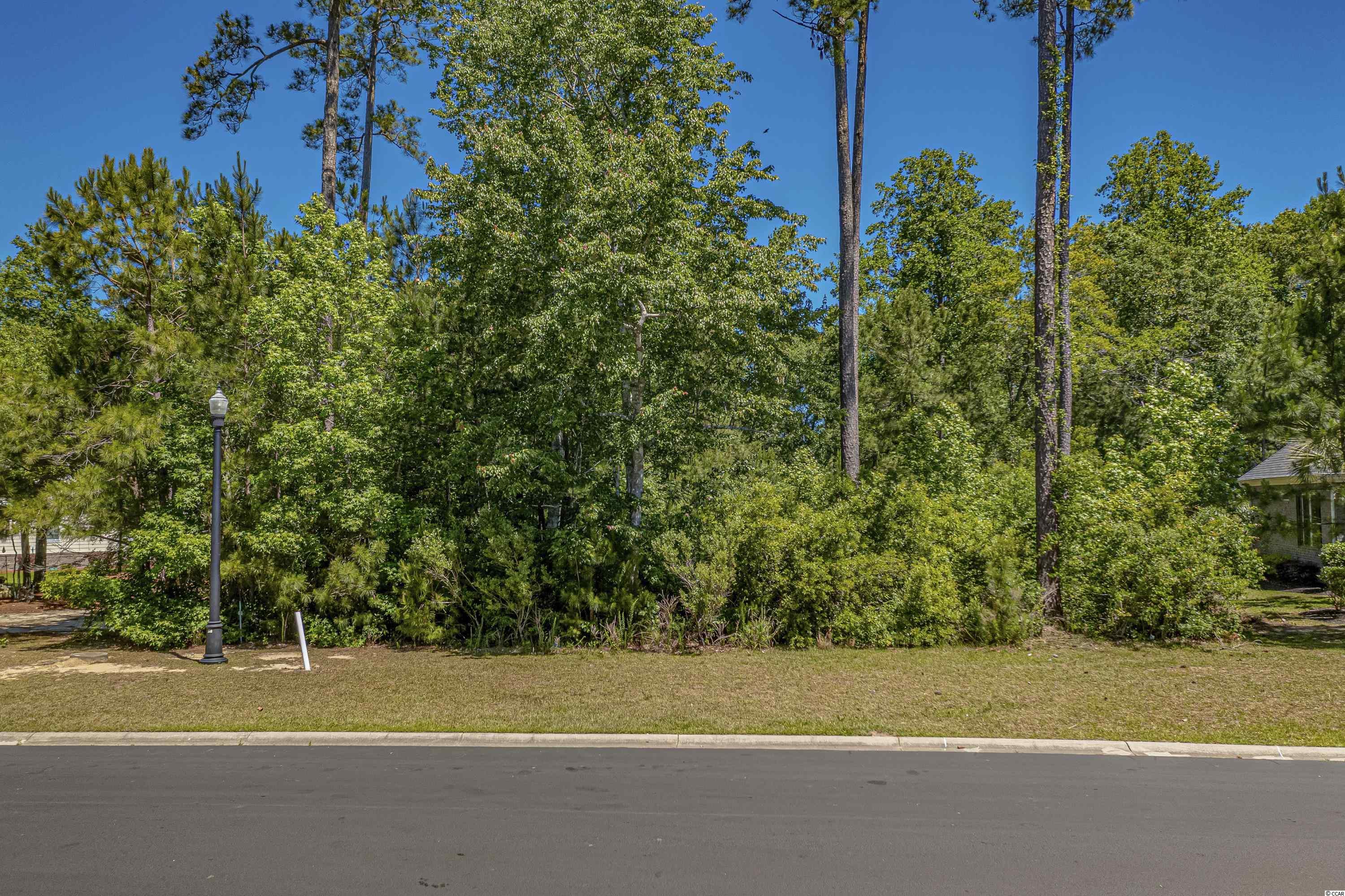104 Grey Moss Road Murrells Inlet, SC 29576 - Photo 4 of 24 Gallery Image 4