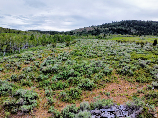 976 Outback Road Montpelier, ID 83254 - Photo 11 of 26