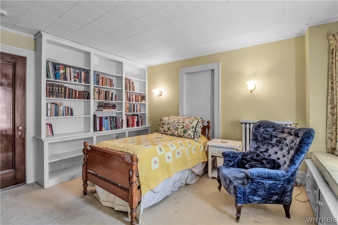 65 Tudor Place Buffalo, NY 14222 - Photo 36 of 48