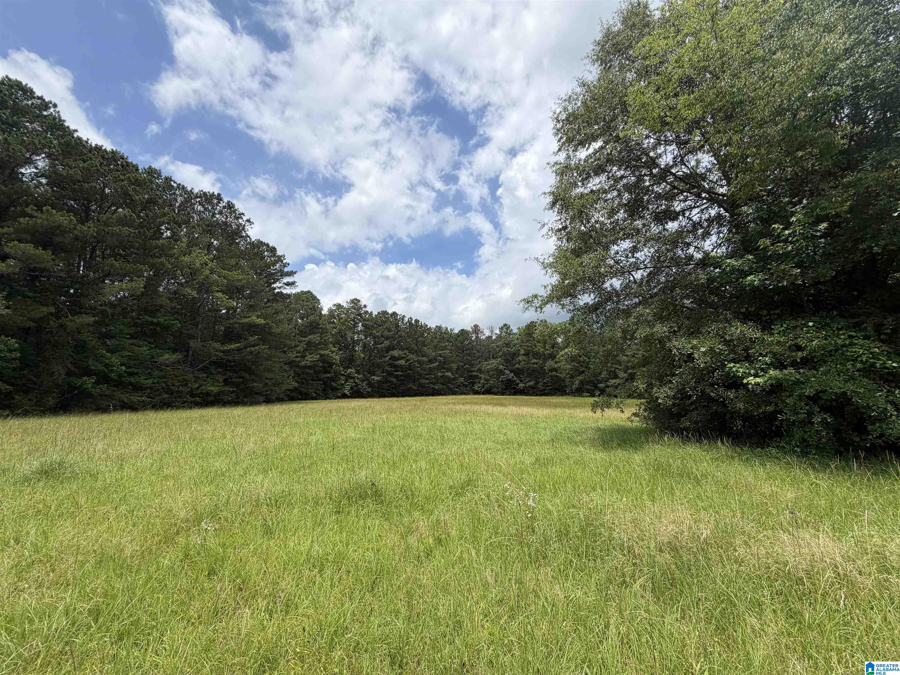 0 Hall Burton Road, Unit 1 Sumiton, AL 35148 - Photo 2 of 10