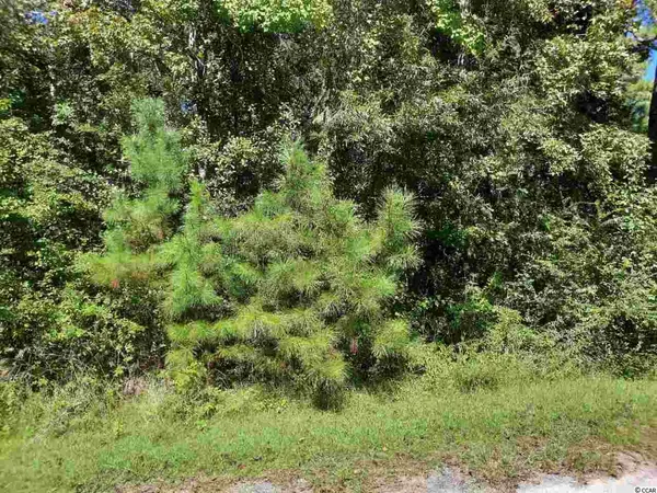 $7,500 | Lot 9 East Wisteria Drive, Hemingway, SC 29554