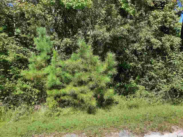 $15,650 | Lot 9 East Wisteria Drive, Hemingway, SC 29554