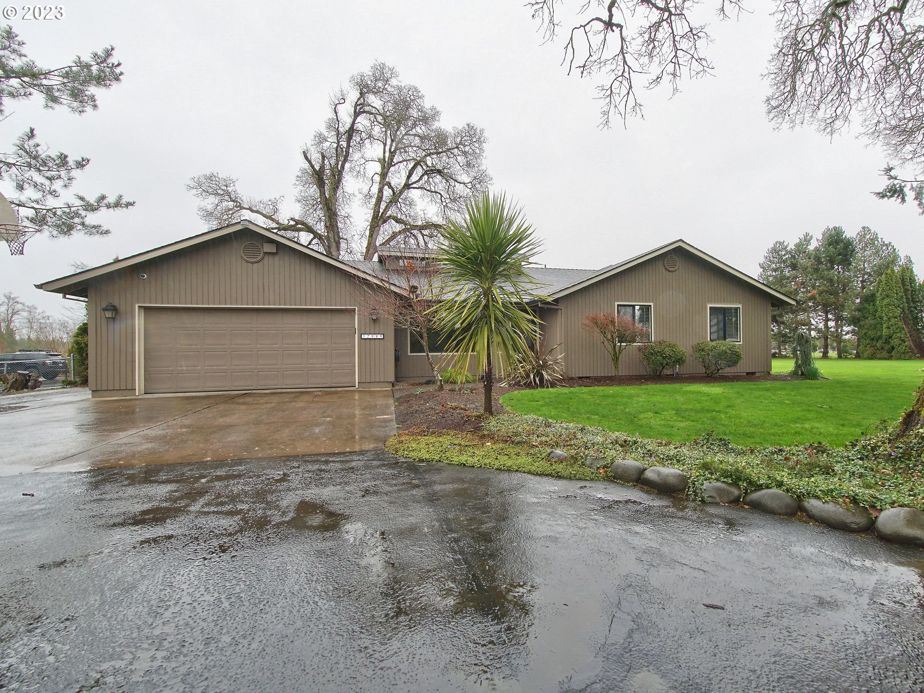 a view of a house with a yard and large tree
