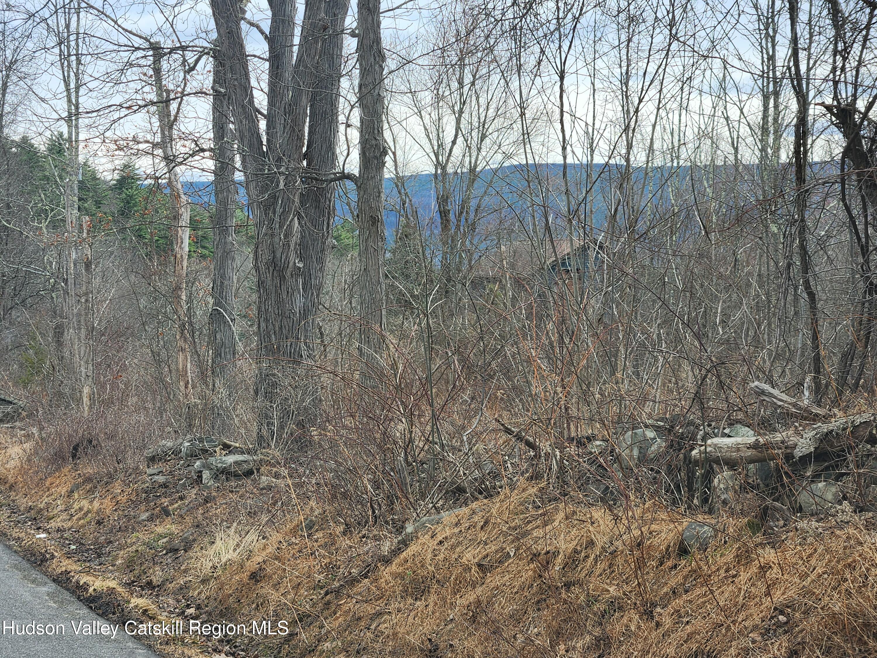 Tbd Irish Cape Road Ellenville, NY 12428 - Photo 4 of 13 20260327_124045
