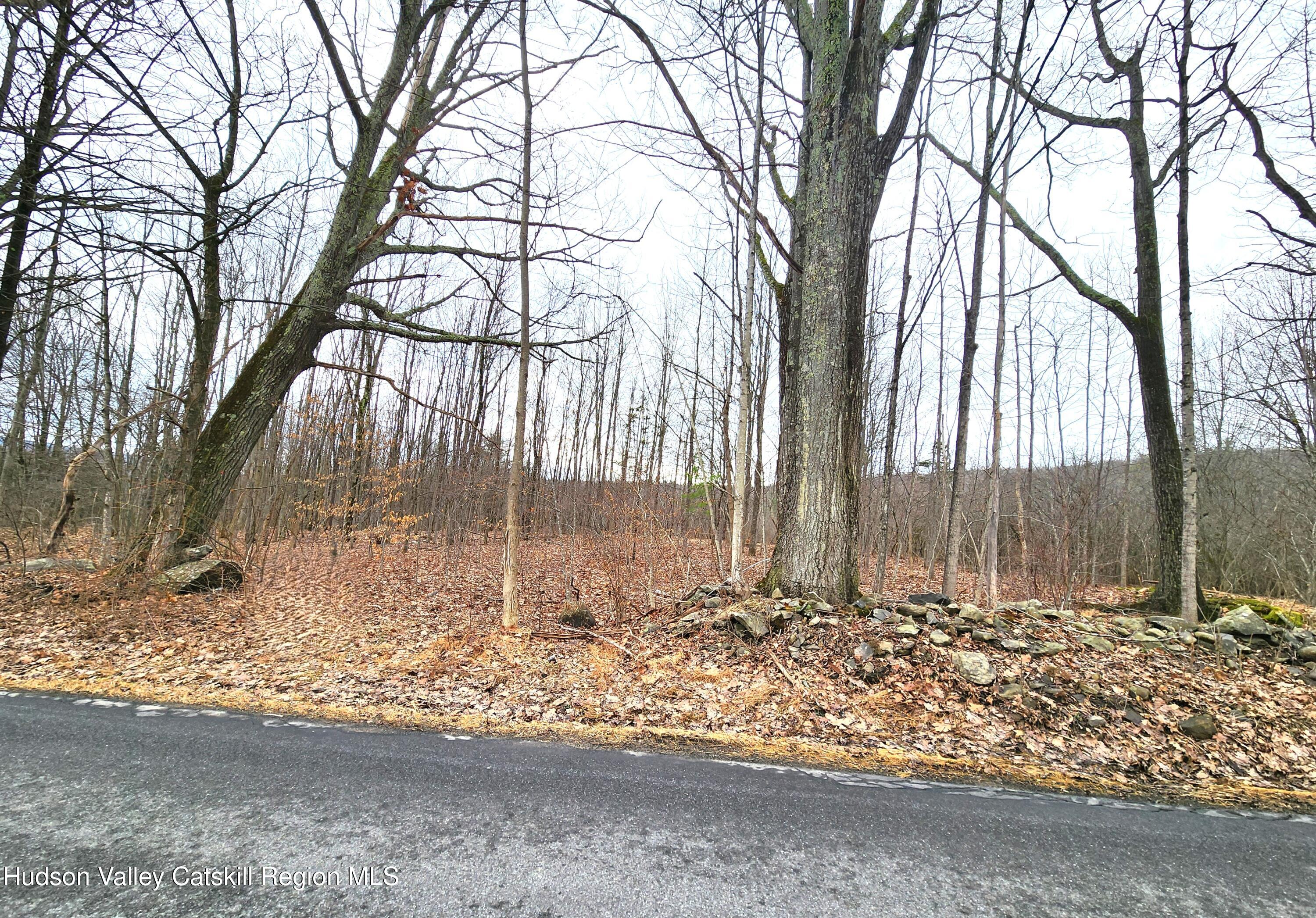 Tbd Irish Cape Road Ellenville, NY 12428 - Photo 6 of 13 20260331_120407