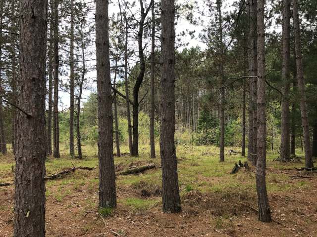 25-acres River Road Eagle River, WI 54521 - Photo 1 of 10 Gallery Image 1