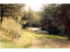 80 Shoestrap Road Lyme, NH 03768 - Photo 4 of 5
