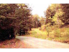 80 Shoestrap Road Lyme, NH 03768 - Photo 5 of 5