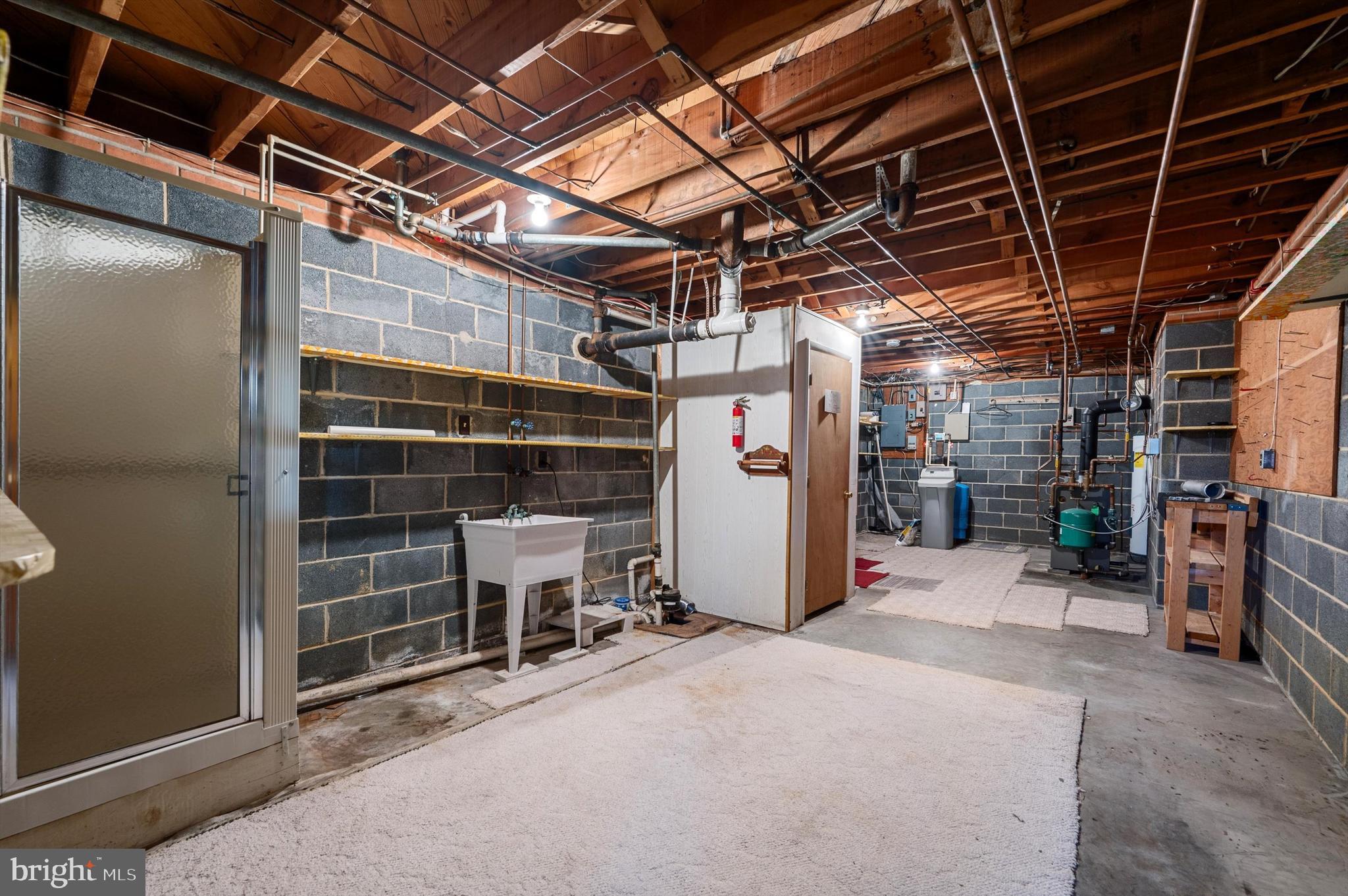 312 Bryarly Road Winchester, VA 22603 - Photo 38 of 47 Storage/workshop in basement with bath