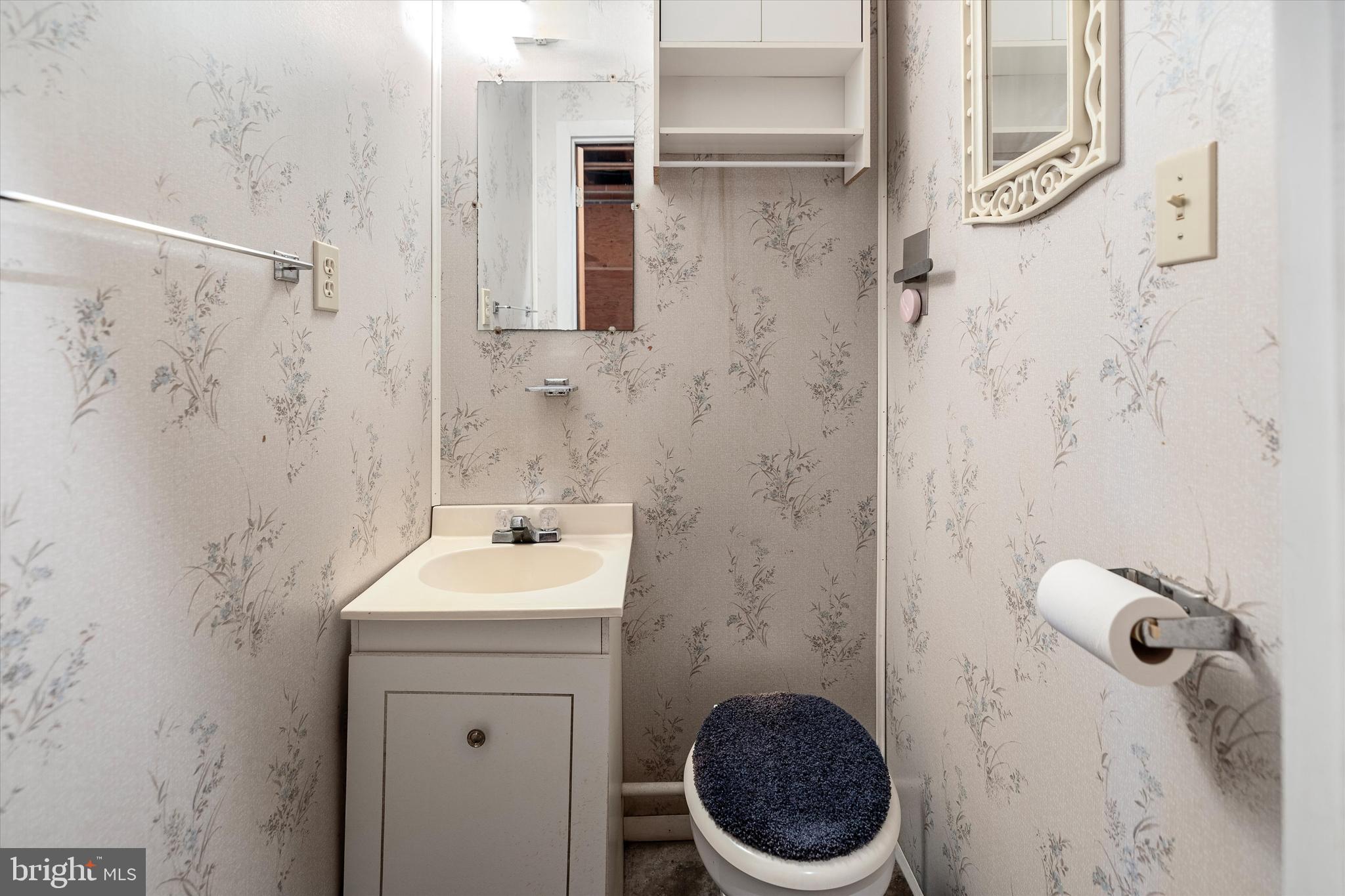 312 Bryarly Road Winchester, VA 22603 - Photo 43 of 47 Bathroom/Shower Stall in Basement