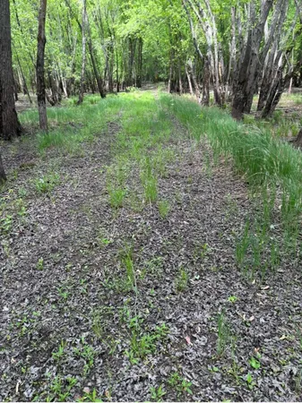 $164,999 | 1995 Royal Heights Lane, Braham, MN 55006