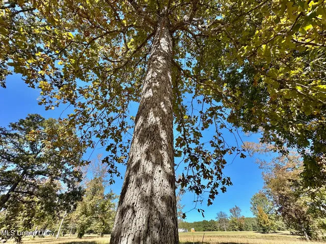 $122,000 | 0 Highway 82 Maben Ms 39750, Maben, MS 39750