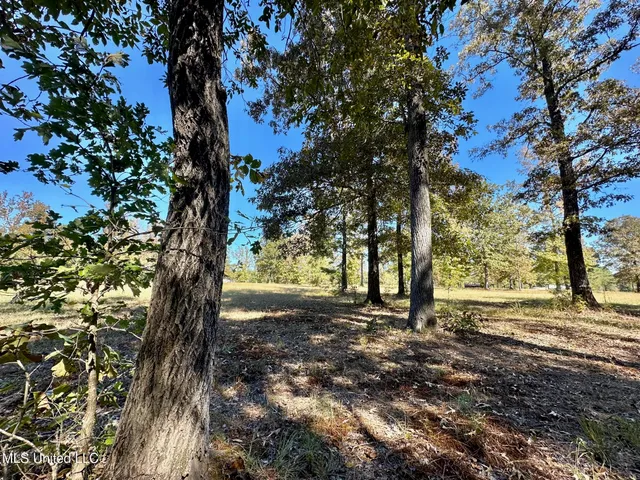 $122,000 | 0 Highway 82 Maben Ms 39750, Maben, MS 39750