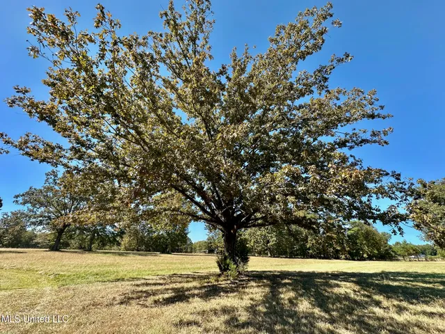 $122,000 | 0 Highway 82 Maben Ms 39750, Maben, MS 39750