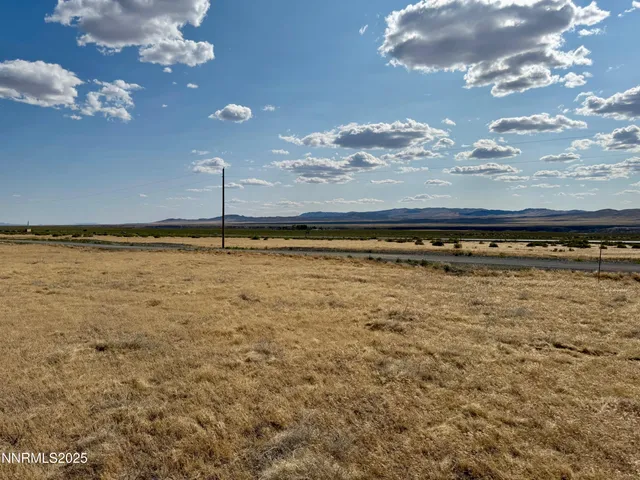 a view of a garden with lawn chairs