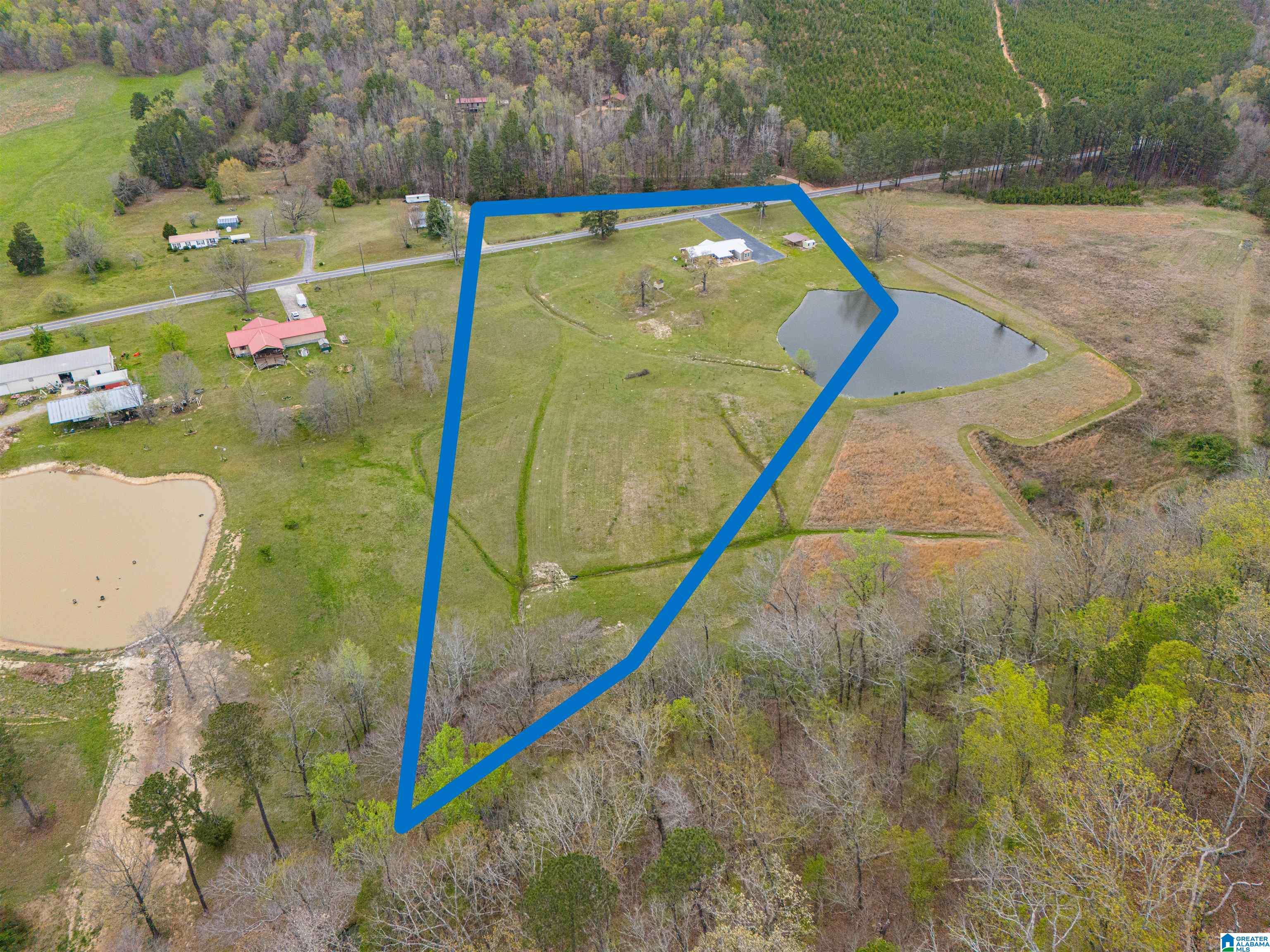 1502 Possum Trot Road Piedmont, AL 36272 - Photo 40 of 42