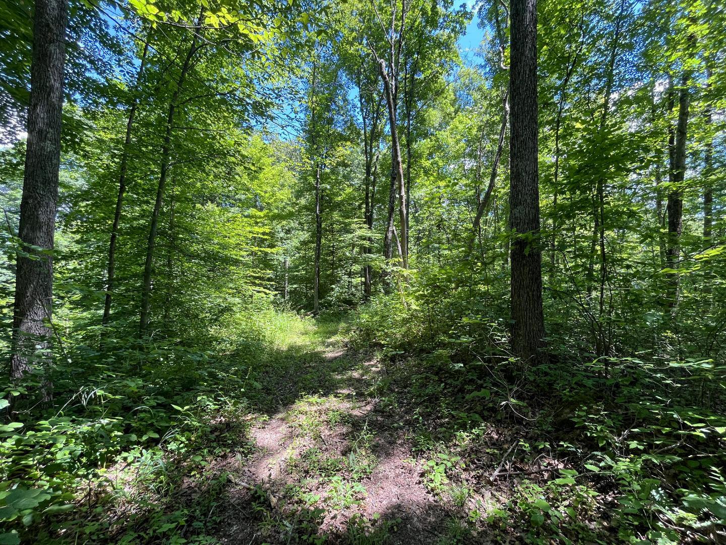 0 Water Works Hill Road Glouster, OH 45732 - Photo 16 of 35 15