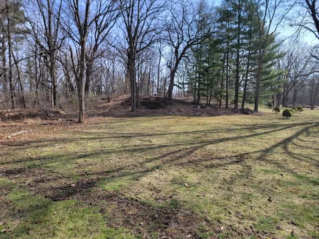 a view of a yard with lots of trees