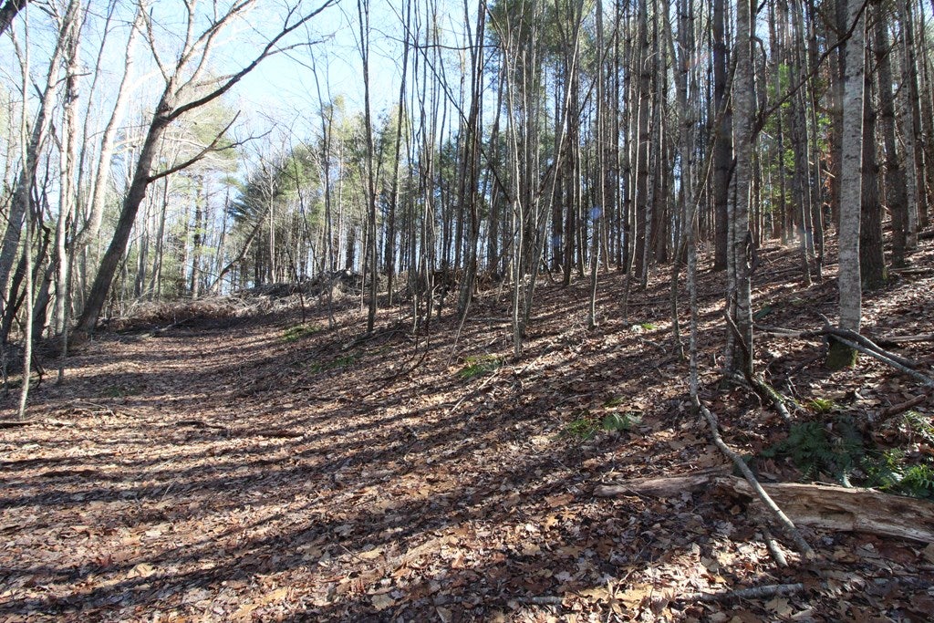 Tbd Ivanhoe Road, Unit 60A34 Fries, VA 24330 - Photo 11 of 45 Gallery Image 11