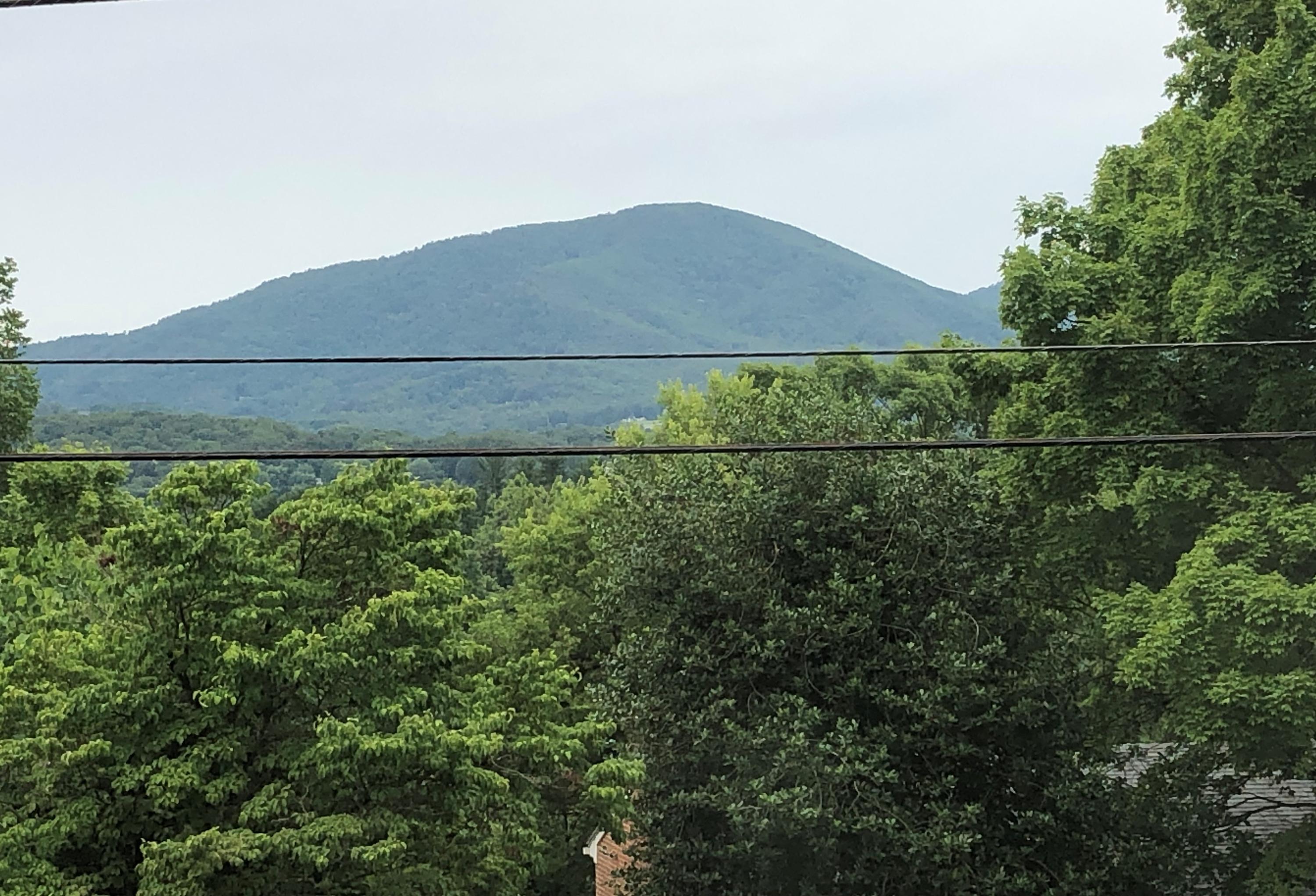 3274 Rasmont Road Roanoke, VA 24018 - Photo 21 of 34 IMG_4003