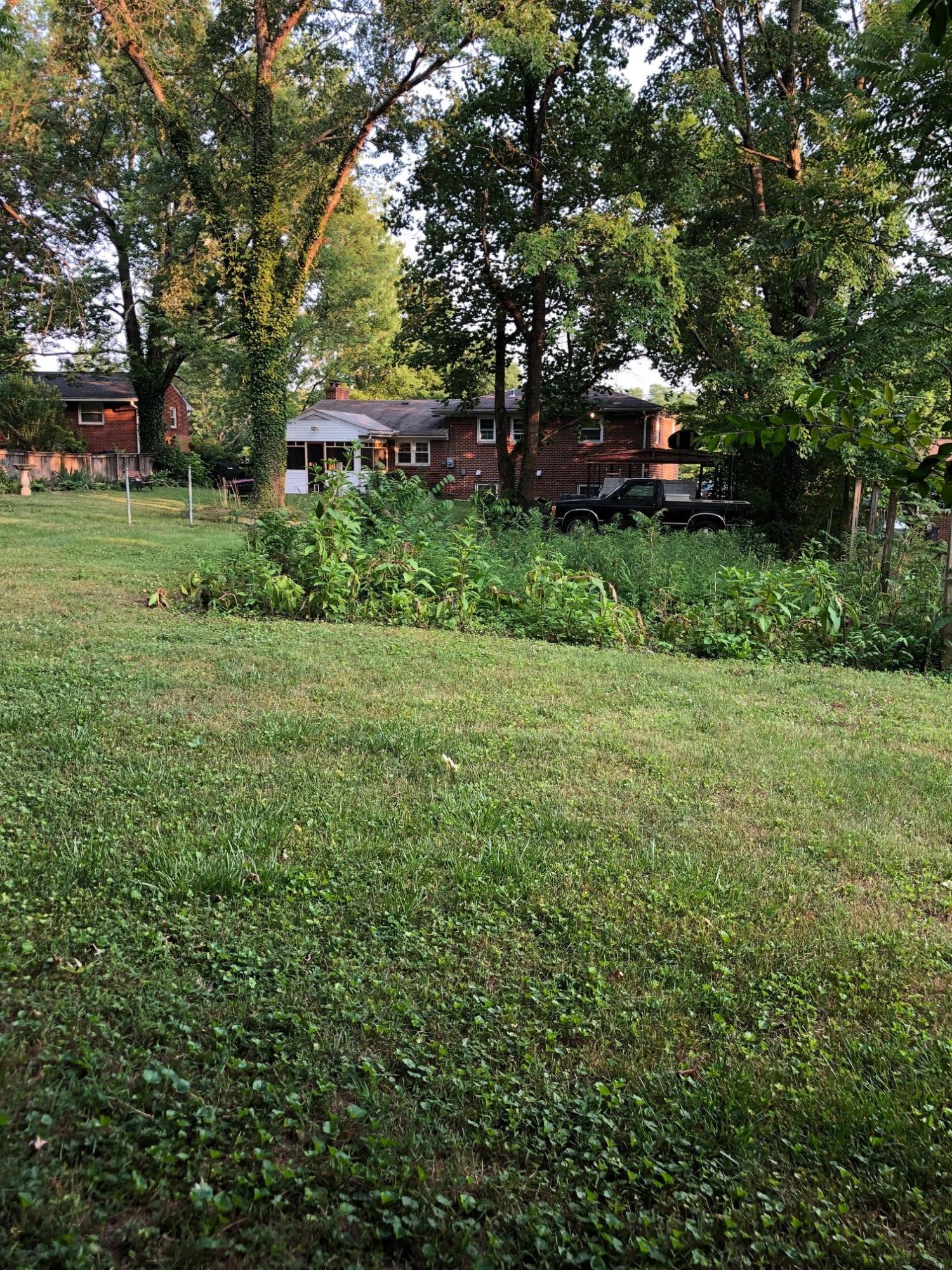 3274 Rasmont Road Roanoke, VA 24018 - Photo 25 of 34 used to be a garden