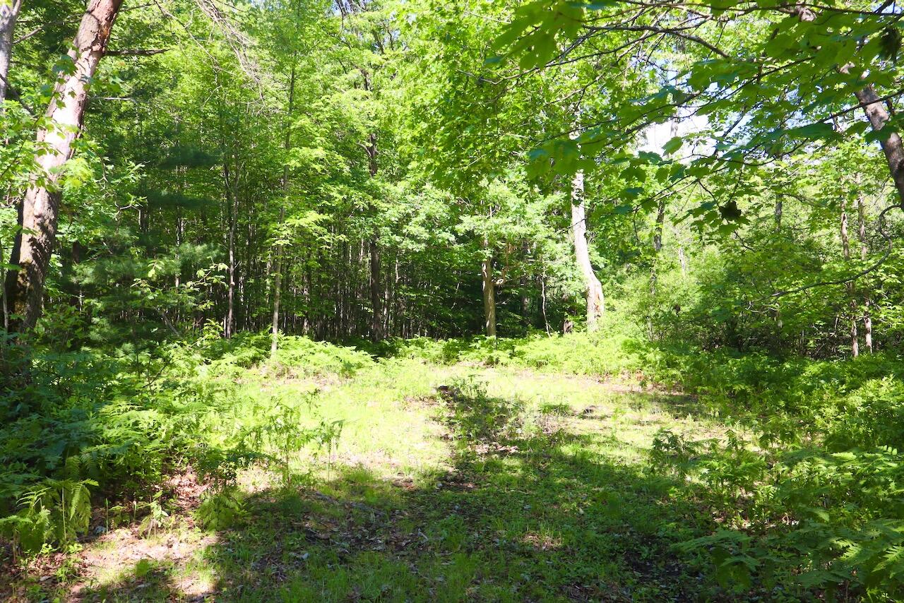 4473 Hamilton Drive Harrison, MI 48625 - Photo 45 of 77 33