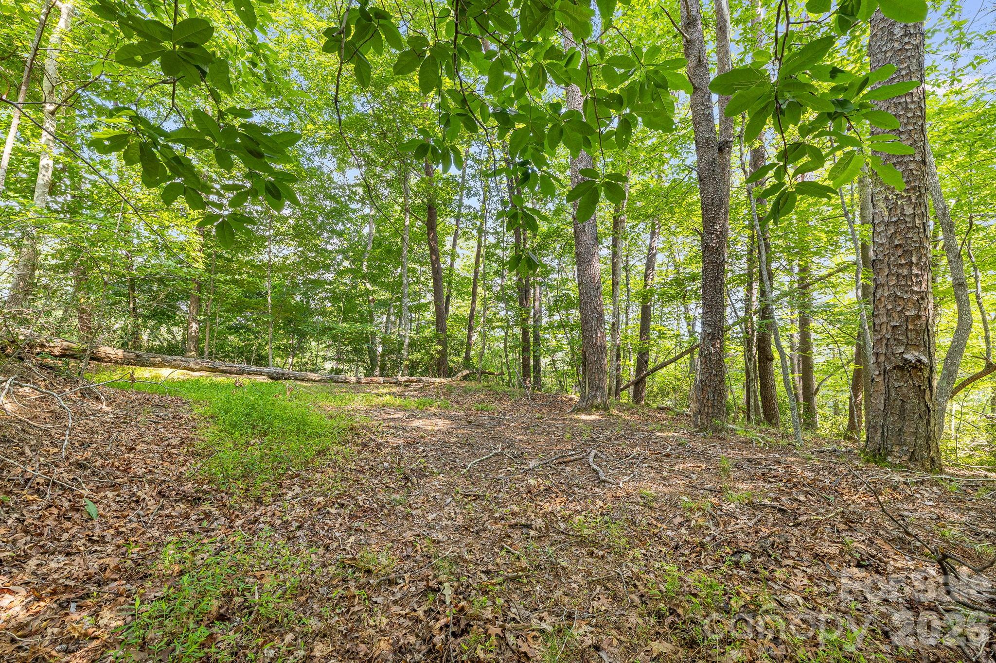 0 Canoe Drive, Unit 40 Mill Spring, NC 28756 - Photo 15 of 23