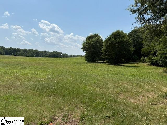 0 Cooper Lake Road Simpsonville, SC 29681 - Photo 1 of 2