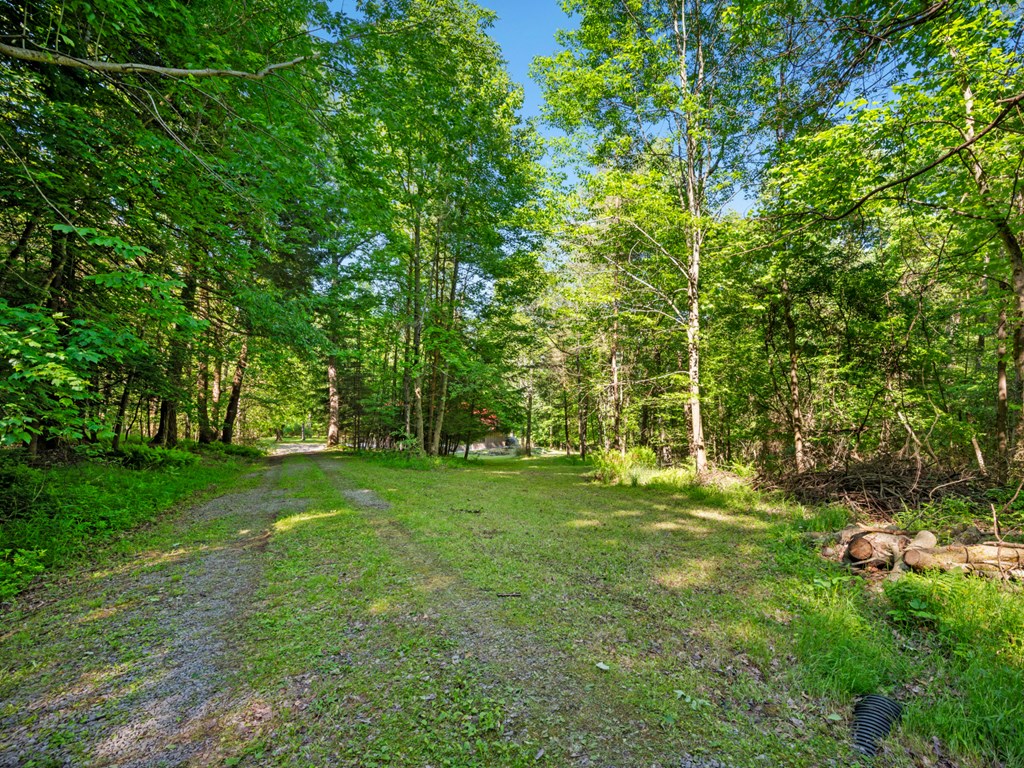 762 Sutton Road Grand Valley, PA 16420 - Photo 19 of 59