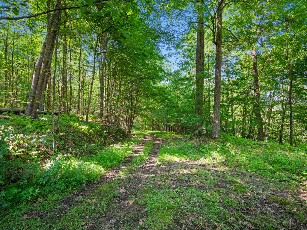762 Sutton Road Grand Valley, PA 16420 - Photo 23 of 59