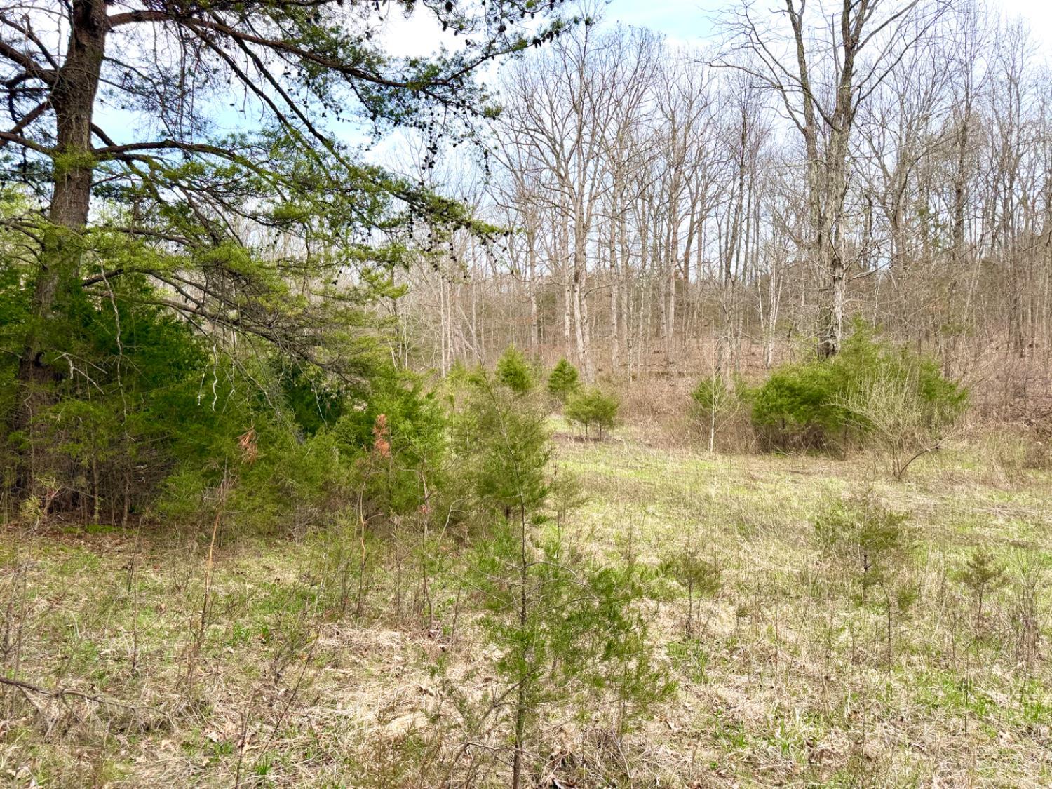 1600 Magee Jones Road Peebles, OH 45660 - Photo 71 of 91