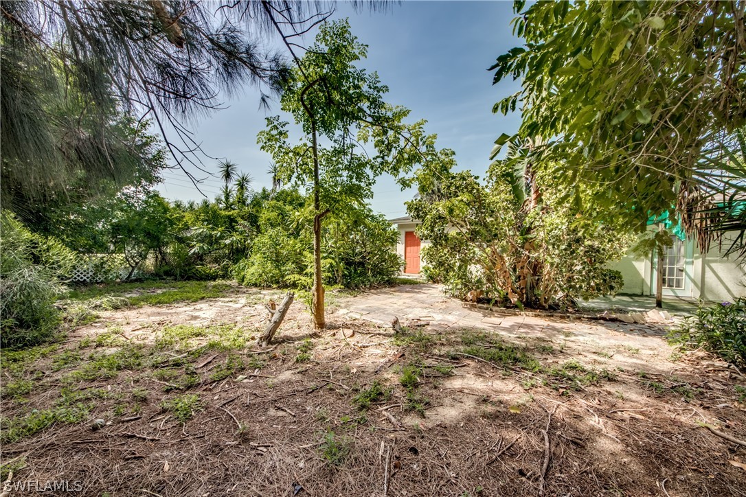 18481 Iris Road Fort Myers, FL 33967 - Photo 23 of 28 a view of a tree with a yard