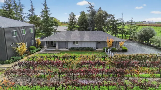 a view of a house with a yard and large tree