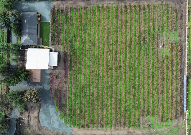 a spacious bedroom with a bed and a window
