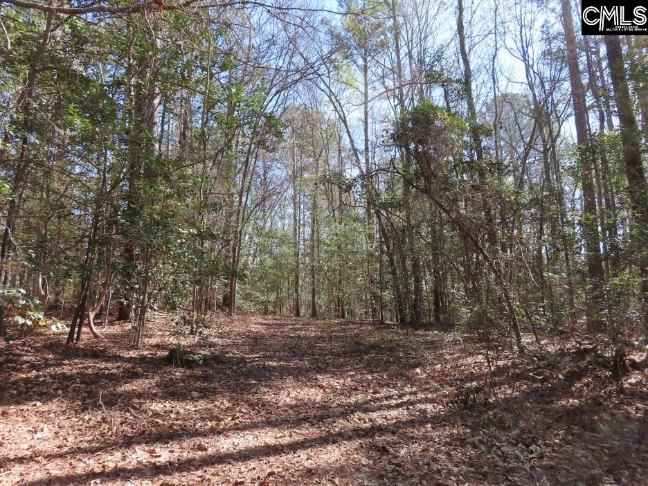 1672 Dixired Road Leesville, SC 29070 - Photo 2 of 67
