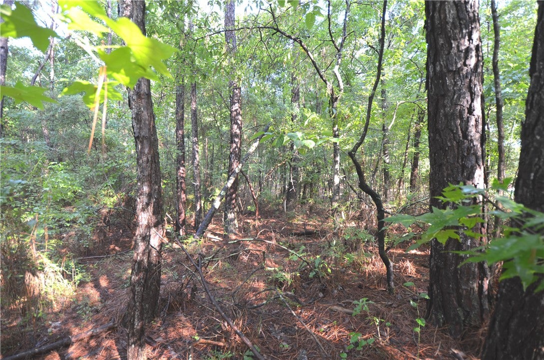 Lot 2 Oak Bowery Road Opelika, AL 36801 - Photo 5 of 10 Gallery Image 5