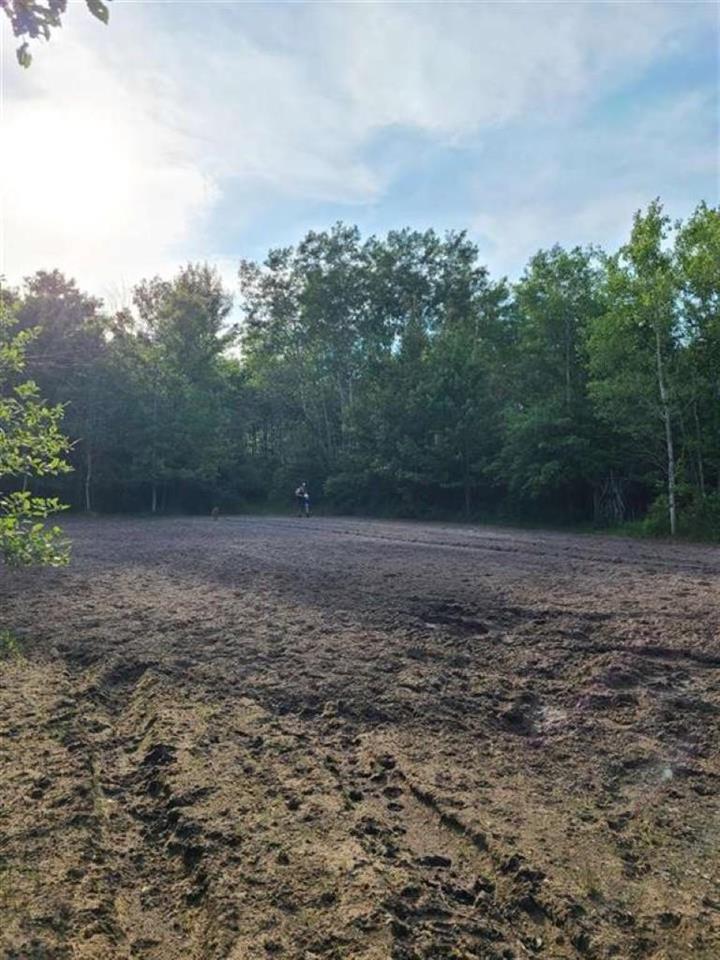 11661 Northeast County Line Road Clare, MI 48617 - Photo 58 of 75