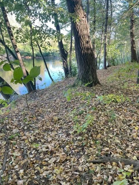 0 State Road Menomonie, WI 54751 - Photo 10 of 19