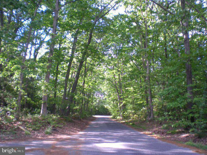 307 Iris Road Millville, NJ 08332 - Photo 12 of 13
