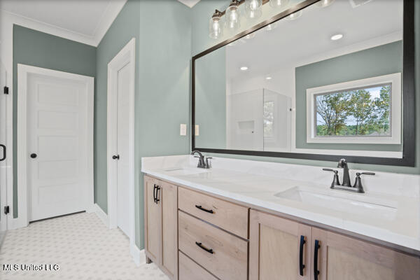 14227 Hidden Loop Byhalia, MS 38611 - Photo 15 of 34 66-primary bath 1