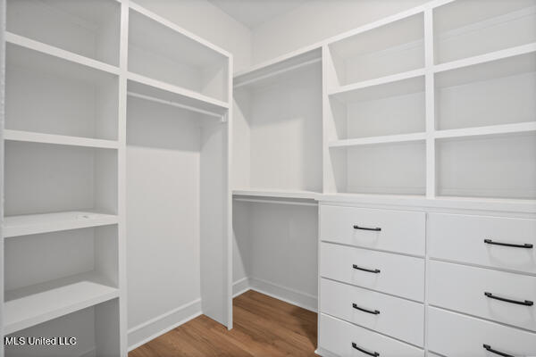 14227 Hidden Loop Byhalia, MS 38611 - Photo 17 of 34 66-primary closet
