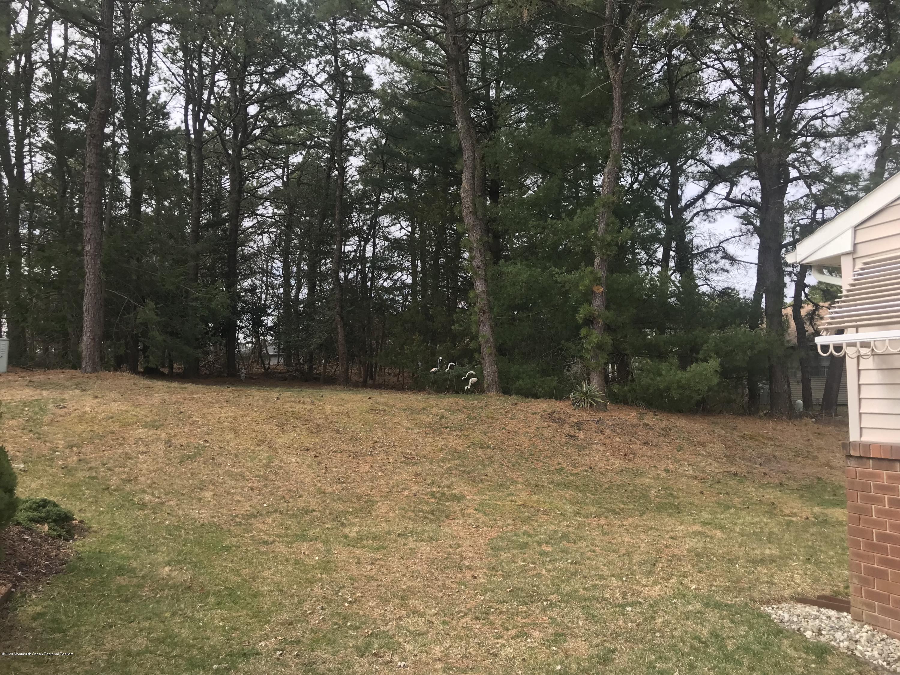 40 A Sunset Road Whiting, NJ 08759 - Photo 16 of 17 a backyard of a house with large trees