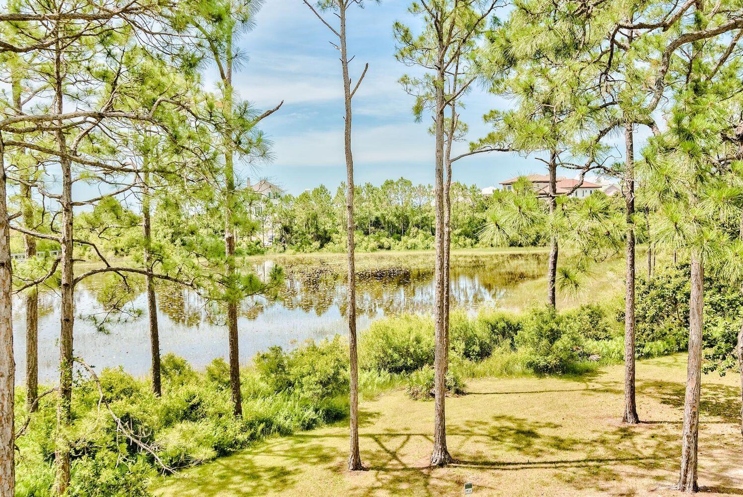 114 Mar-A-Lago Boulevard, Unit 1 Santa Rosa Beach, FL 32459 - Photo 12 of 28 a lake view