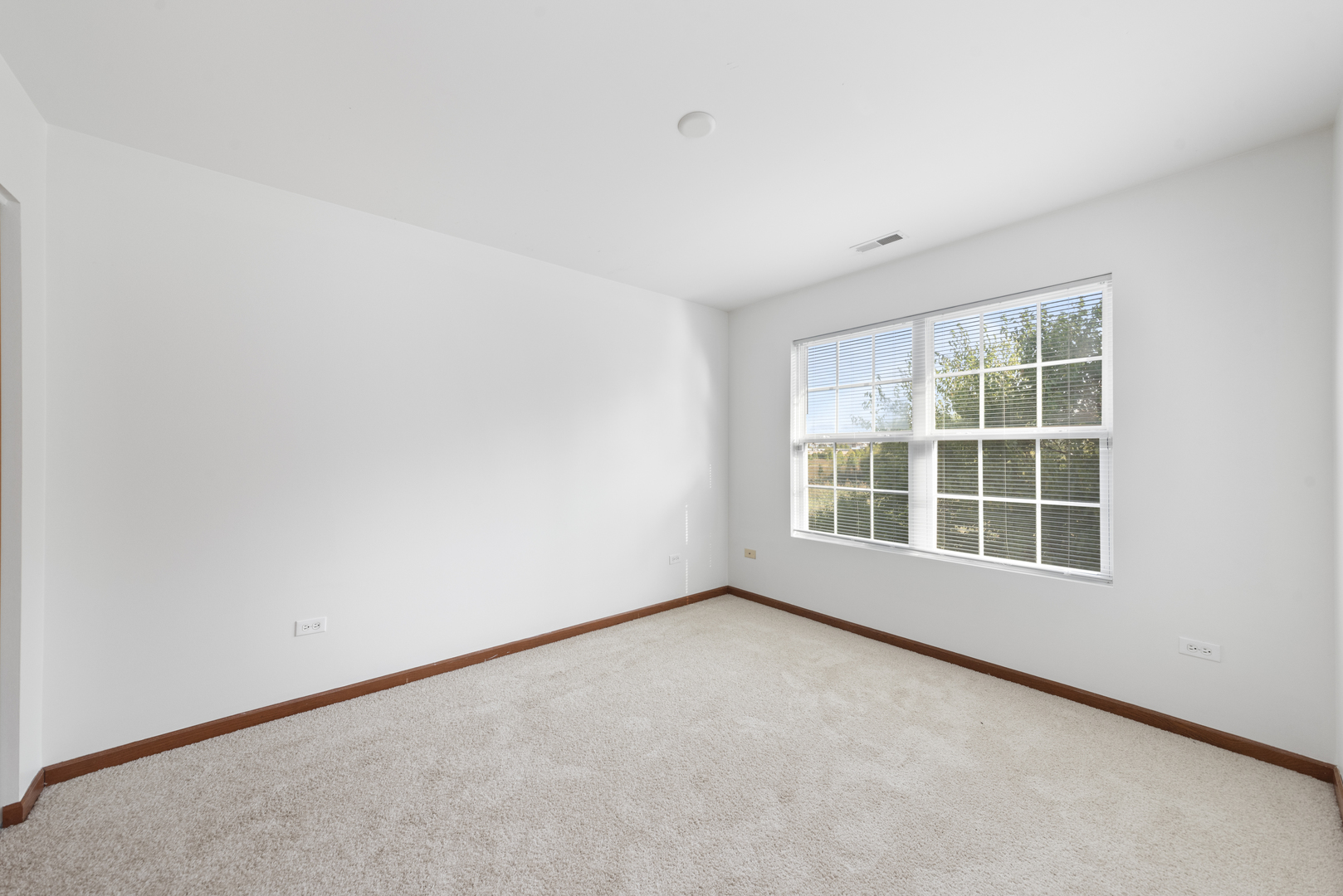 278 South Oak Creek Lane Romeoville, IL 60446 - Photo 12 of 16 an empty room with a window