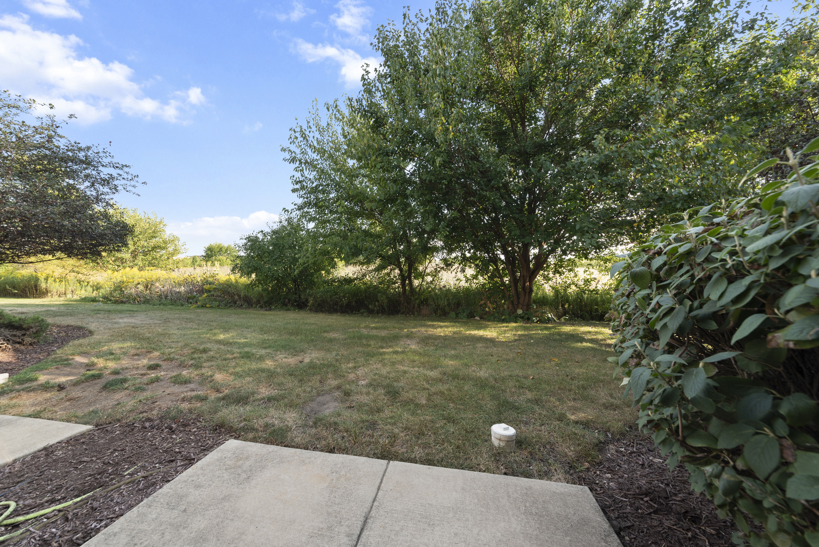 278 South Oak Creek Lane Romeoville, IL 60446 - Photo 15 of 16 a backyard of a house with lots of green space