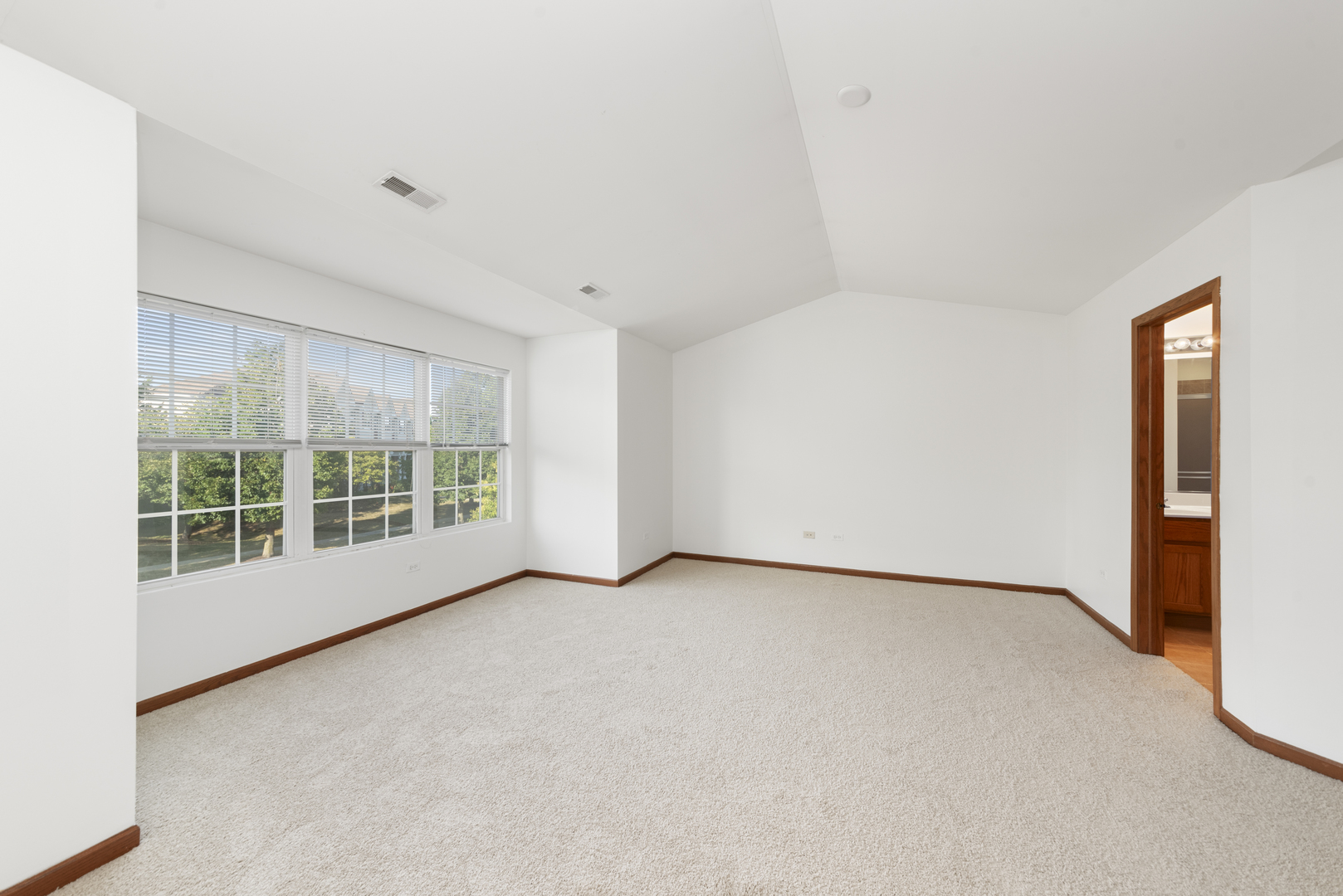 278 South Oak Creek Lane Romeoville, IL 60446 - Photo 9 of 16 an empty room with windows