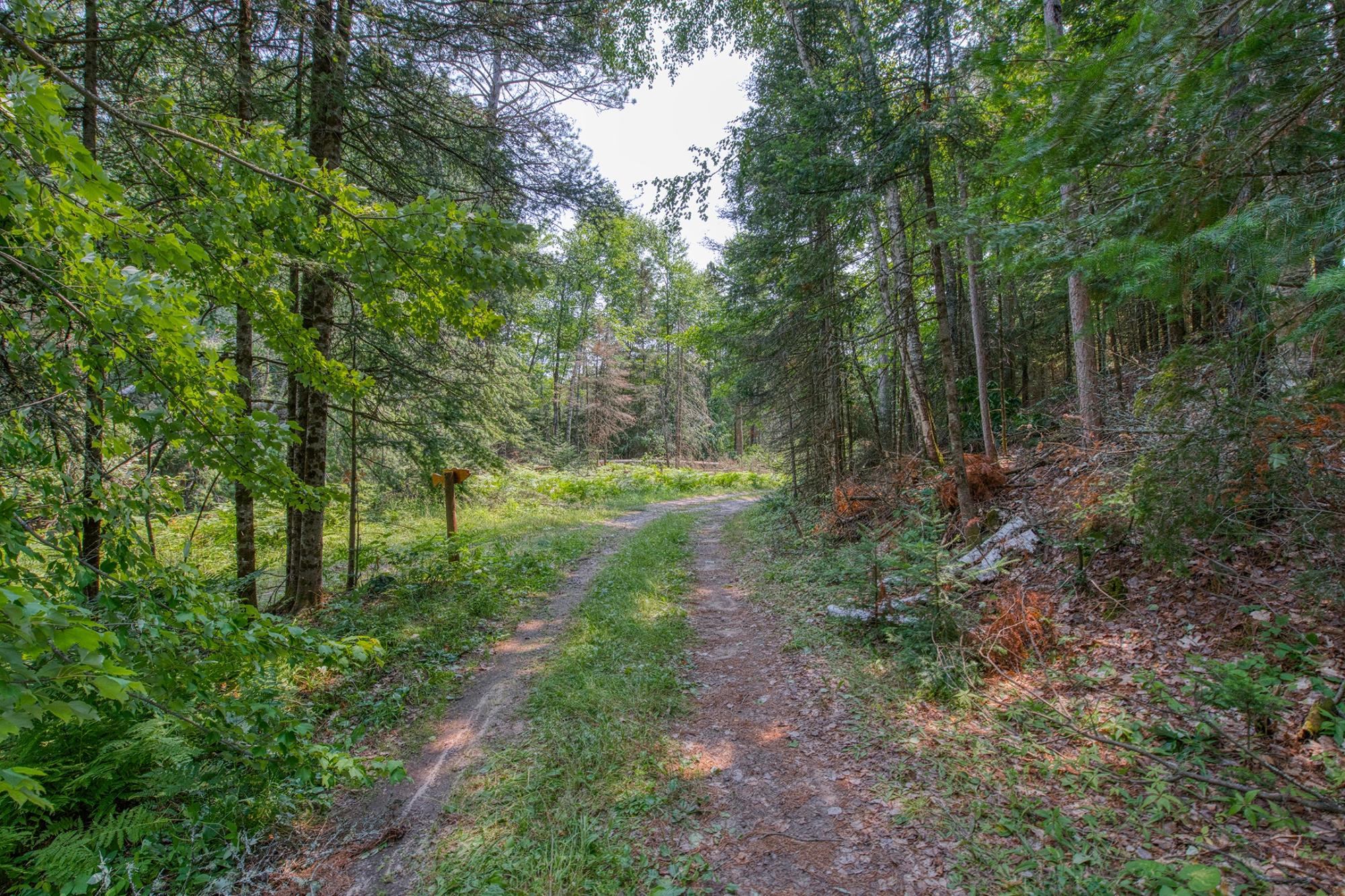 5165 Deer Lake Road Conover, WI 54519 - Photo 26 of 39