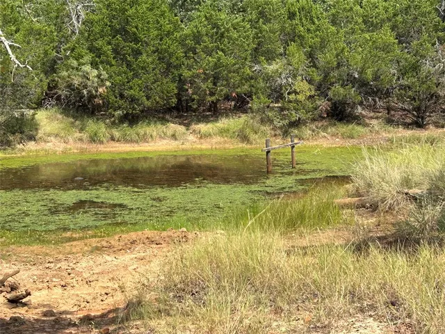 a view of lake with green space